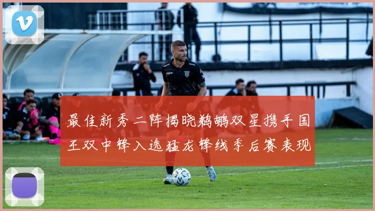 最佳新秀二阵揭晓鹈鹕双星携手国王双中锋入选猛龙锋线季后赛表现抢眼